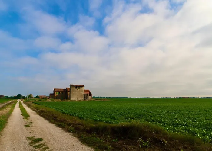 Modern With A Lovely Patio *