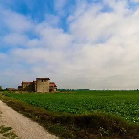 Modern With A Lovely Patio *